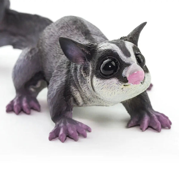 Sugar Glider