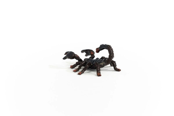 Emperor Scorpion