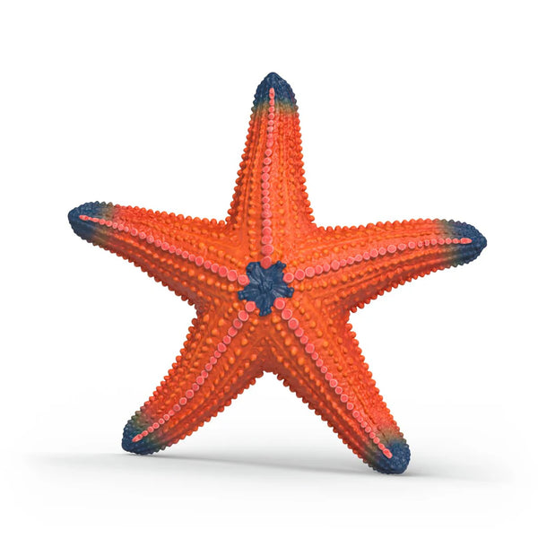 Starfish (Color Change)
