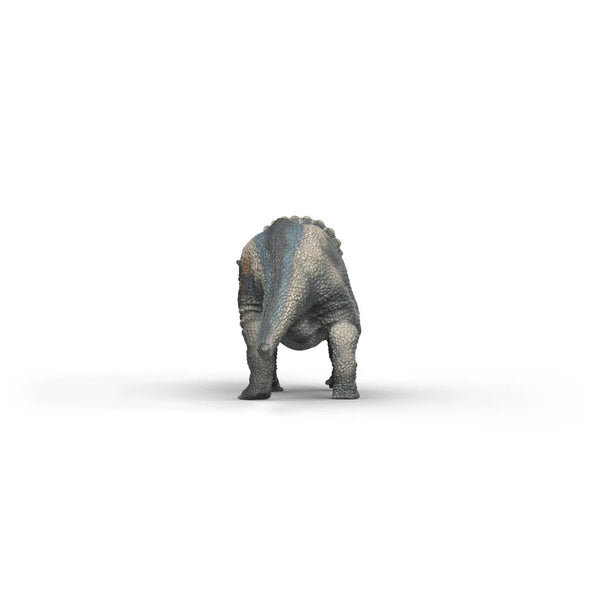 Triceratops