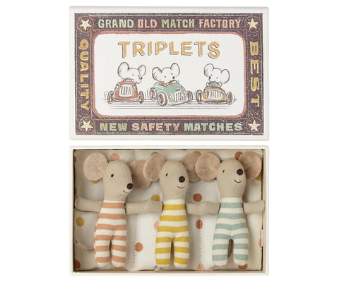 Baby Mice Triplets in a Matchbox