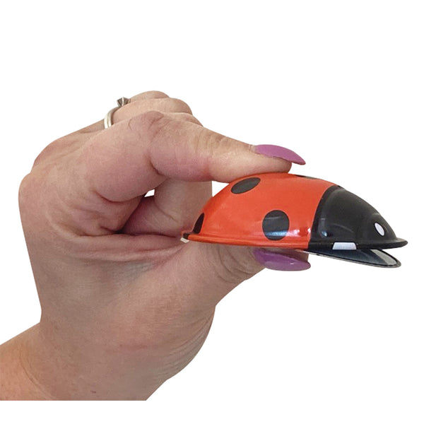 Click-Clack Ladybird