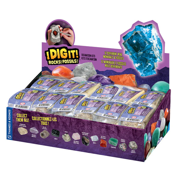 I Dig It! Rocks & Fossils Excavation Kit