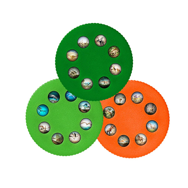 Wonder Lights Dinosaurs | Educational Flashlight
