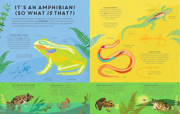 Amphibians Everywhere