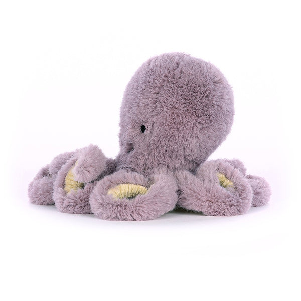 Maya Octopus | Baby