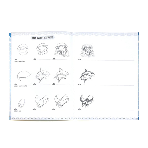 Learn To Draw - Under The Sea