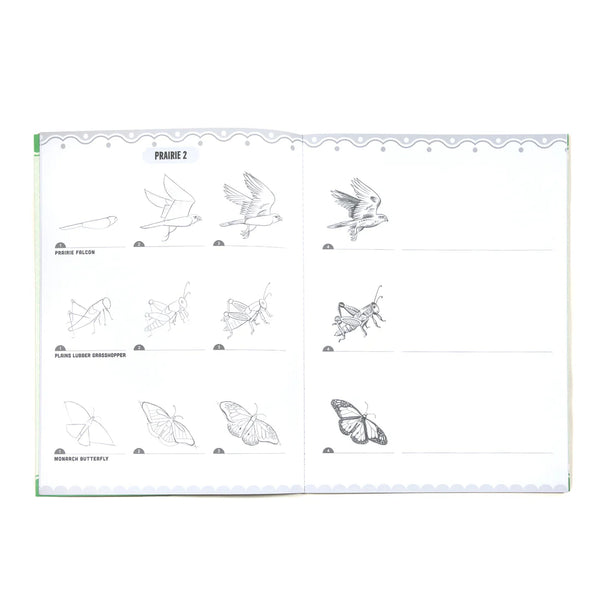 Learn To Draw - Bugs, Birds, & Butterflies
