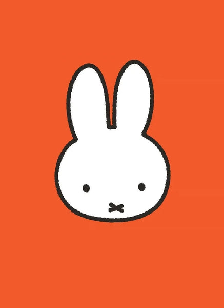 All Wrapped Up Miffy Note Cards