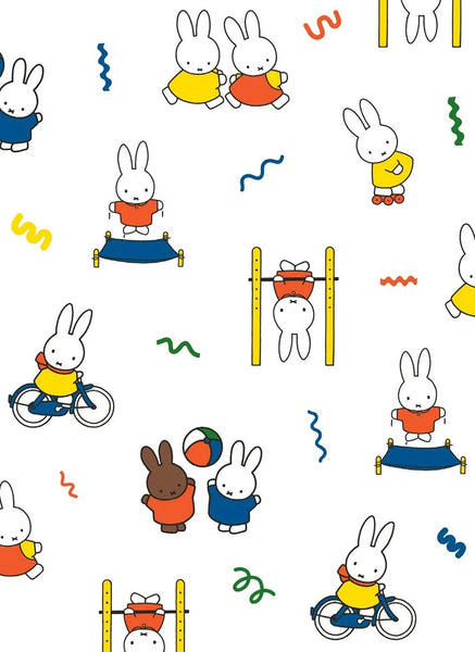 All Wrapped Up Miffy Note Cards