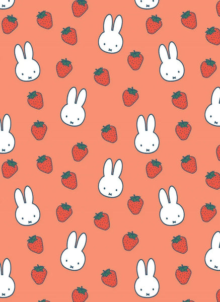 All Wrapped Up Miffy Note Cards