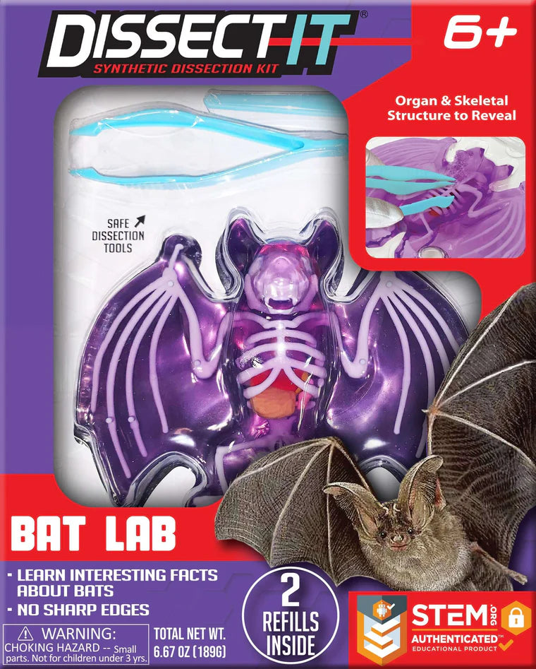 Dissect It Lab – CLUBHOUSE kid & craft