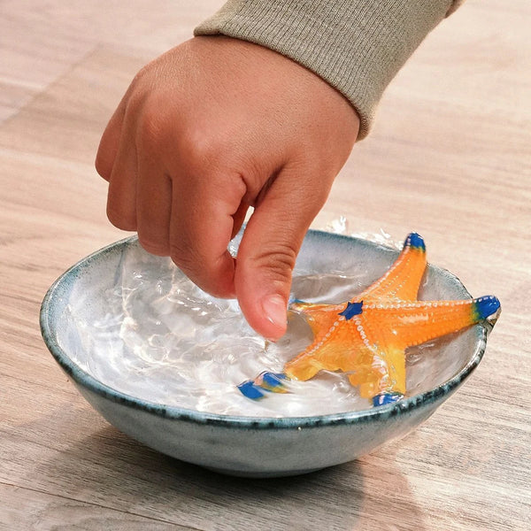 Starfish (Color Change)