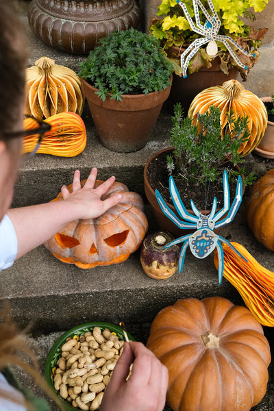Hanging Spiders Ornaments