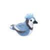 Denim Blue Jay