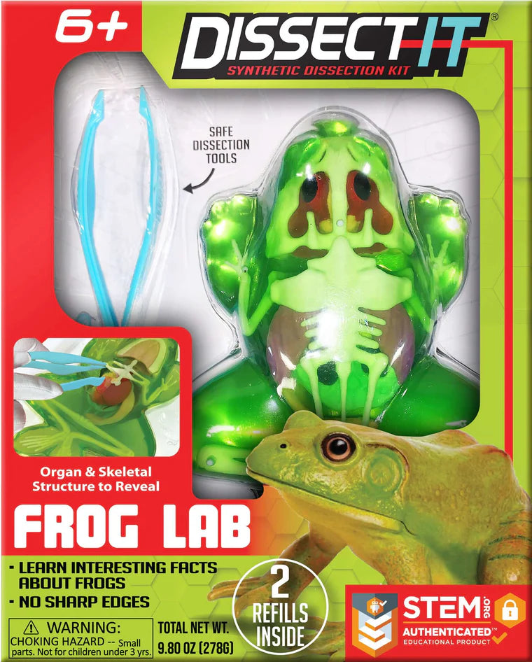 Dissect It Lab – CLUBHOUSE kid & craft