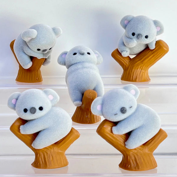 Fuzzy Koala Blind Box