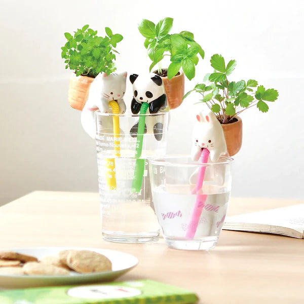 Chuppon | Cute Cultivation Kit
