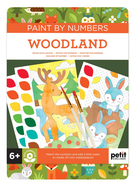 Paint By Numbers: Woodland