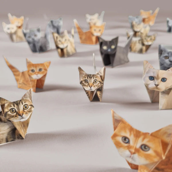 Paper Cats | Origami Cat Kit
