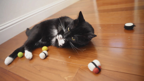 Needle Felting Kit | Sushi Cat Toy