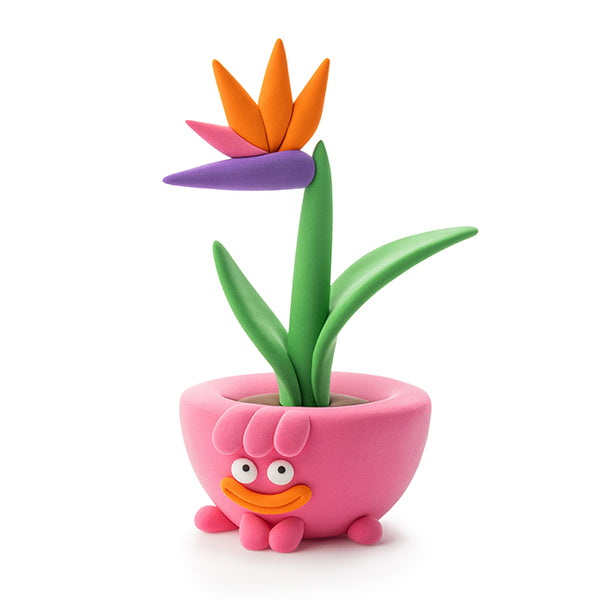 Hey Clay - Plant Folks