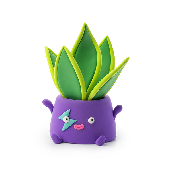 Hey Clay - Plant Folks