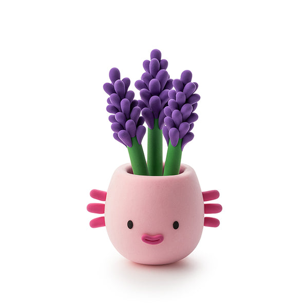 Hey Clay - Plant Folks