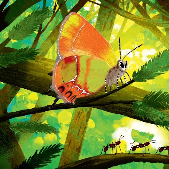 Little Creatures of the National Parks