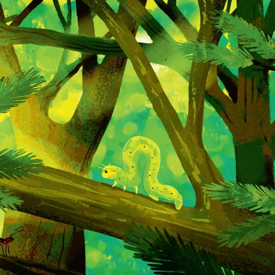 Little Creatures of the National Parks