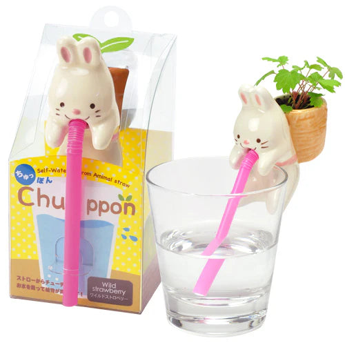 Chuppon | Cute Cultivation Kit