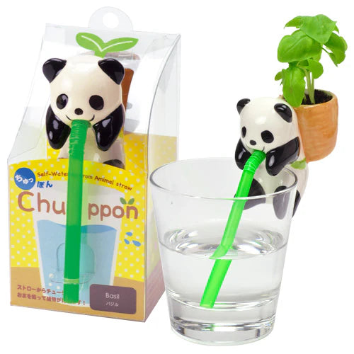 Chuppon | Cute Cultivation Kit