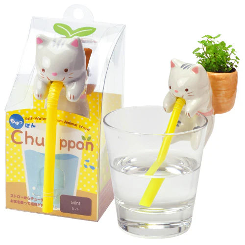 Chuppon | Cute Cultivation Kit