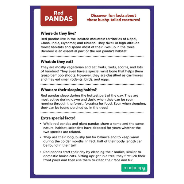 Red Panda Mini Puzzle