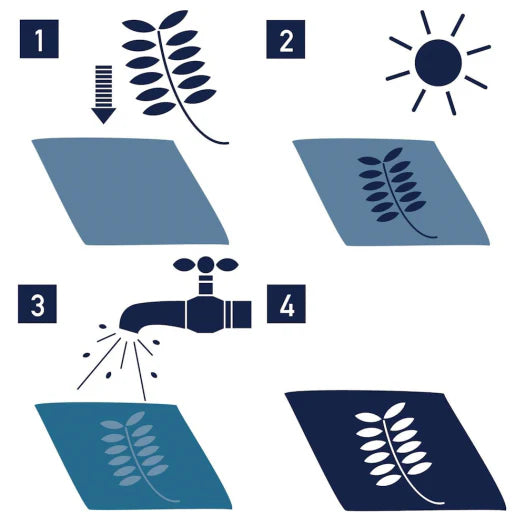 Sunography | Color Paper Cards