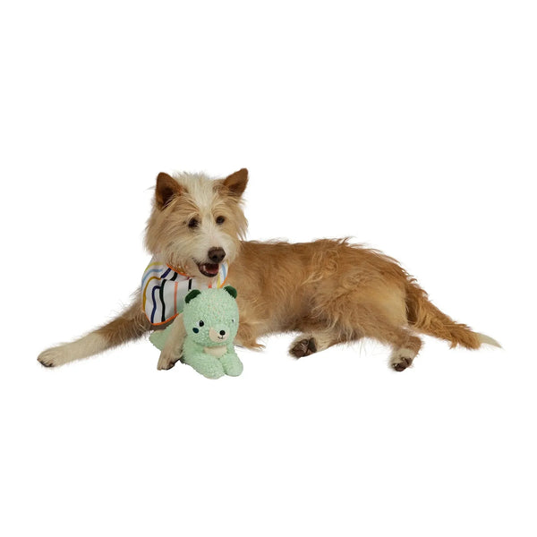 Squeaks-A-Lot Scout Squirrel | Pet Toy