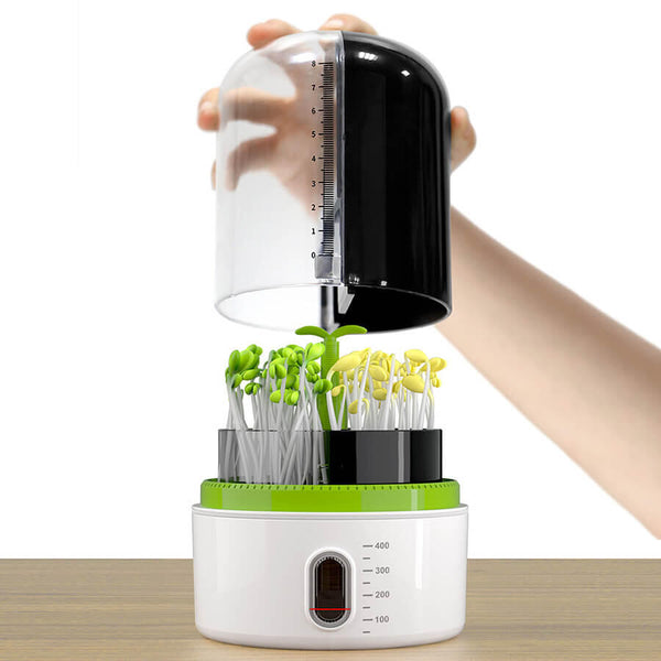 Plant Growth Station
