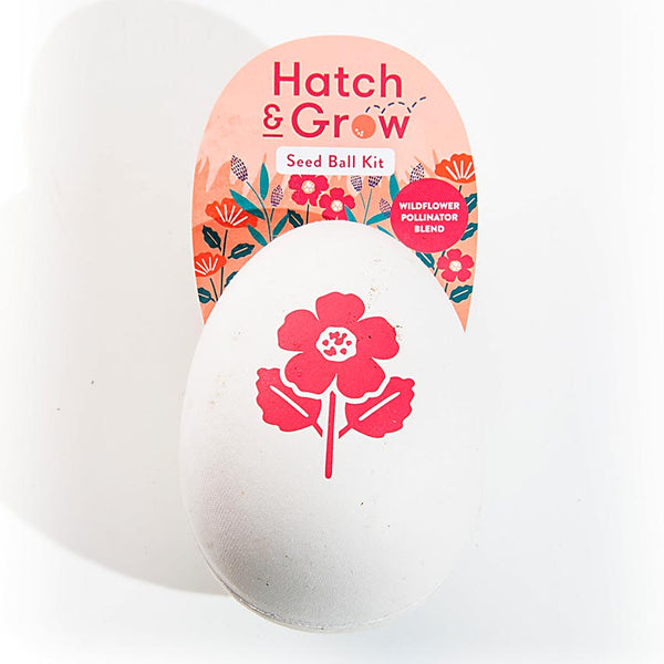 Hatch & Grow Seed Ball Kit (More styles)