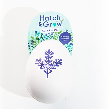 Hatch & Grow Seed Ball Kit (More styles)