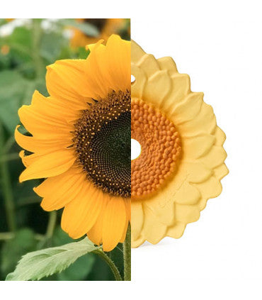 Sun the Sunflower